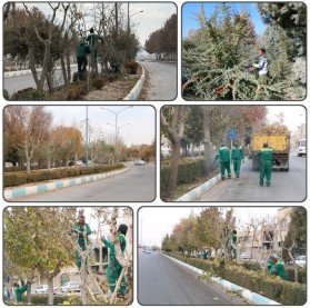 جریان خدمت در محلات شهر توسط معاونت فضای سبز شهرداری کلیشاد و سودرجان