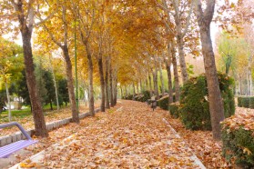 نمای پاییزی پارک ساحلی شهر کلیشاد و سودرجان