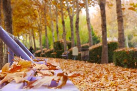 نمای پاییزی پارک ساحلی شهر کلیشاد و سودرجان