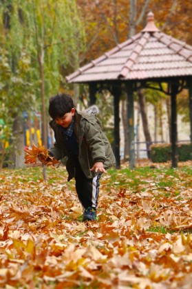 نمای پاییزی پارک ساحلی شهر کلیشاد و سودرجان