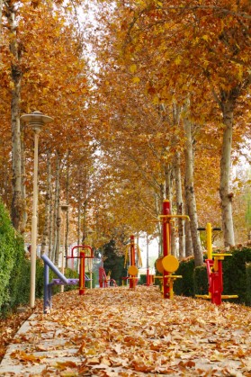 نمای پاییزی پارک ساحلی شهر کلیشاد و سودرجان