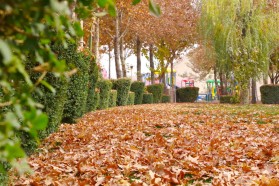 نمای پاییزی پارک ساحلی شهر کلیشاد و سودرجان