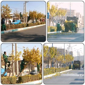 جریان خدمت در محلات شهر توسط معاونت فضای سبز شهرداری کلیشاد و سودرجان