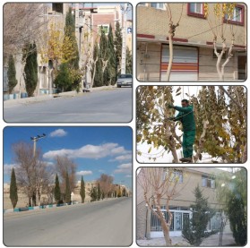 جریان خدمت در محلات شهر توسط معاونت فضای سبز شهرداری کلیشاد و سودرجان