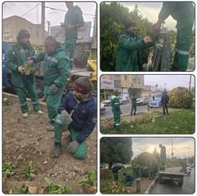 جریان خدمت در محلات شهر توسط معاونت فضای سبز شهرداری کلیشاد و سودرجان