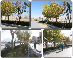 جریان خدمت در محلات شهر توسط معاونت فضای سبز شهرداری کلیشاد و سودرجان