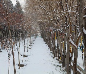 تصاویر اولین برف زمستانی در شهر کلیشادوسودرجان