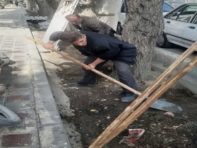 کاشت گل های فصلی و لایروبی و جمع آوری خاک اضافی  ریفوژهای فضای سبز توسط واحد فضای سبز شهرداری