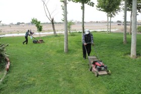 جریان خدمت در محلات شهر توسط معاونت فضای سبز شهرداری کلیشاد و سودرجان