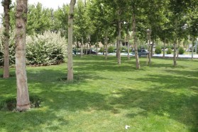 جریان خدمت در محلات شهر توسط معاونت فضای سبز شهرداری کلیشاد و سودرجان