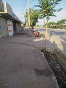 جریان خدمت در محلات شهر توسط معاونت خدمات شهری